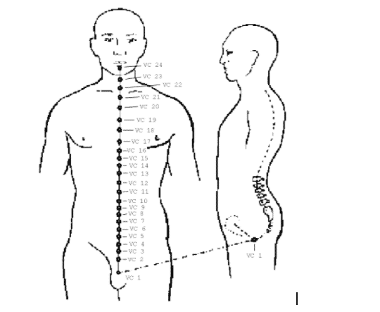 ponto da acupuntura vaso concepção
